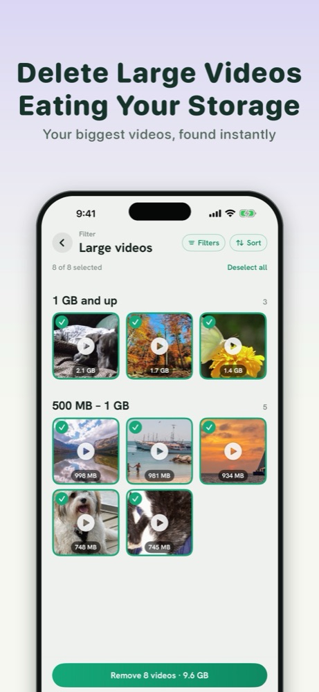 Declutta large videos screen, listing videos from largest to smallest with the size of each