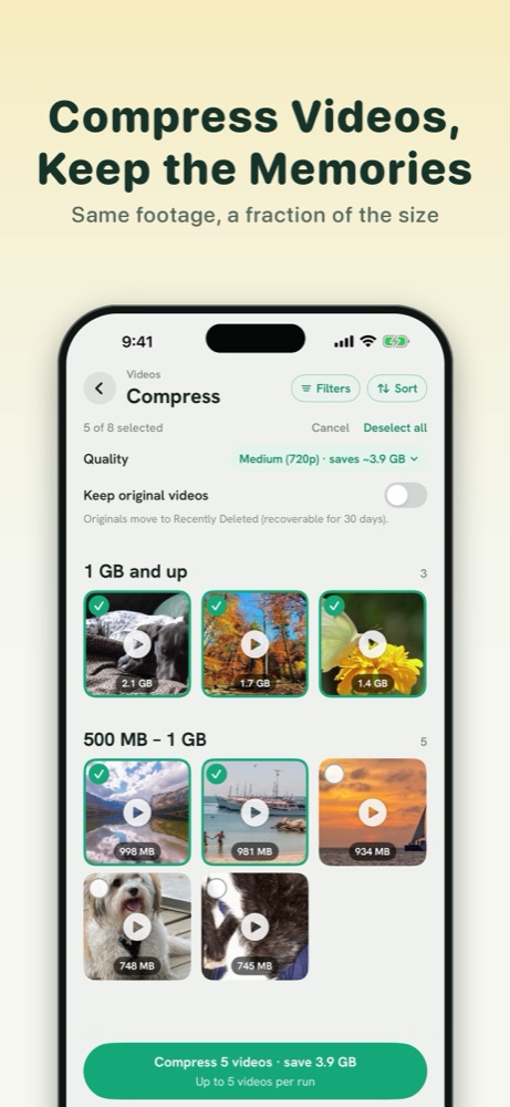 Declutta compress screen, showing a quality setting and the space each video would save